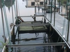 -水岸居湖景农家乐·阳澄湖大闸蟹