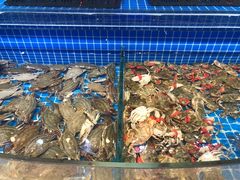 -乔哥铭洋海鲜自助(皇城恒隆广场店)