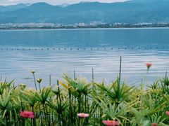 -西昌邛海湾柏樾酒店(原邛海湾柏栎度假酒店)