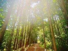 -桤木河湿地公园