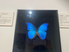 -上海昆虫博物馆