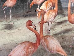 -秦皇岛野生动物园