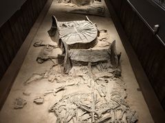 -北京大葆台遗址博物馆