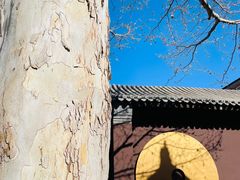 -嵩祝寺及智珠寺