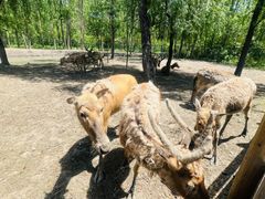 -溱湖国家湿地公园