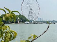 -无锡蠡湖国家湿地公园-蠡园