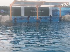 -三亚海昌梦幻海洋不夜城