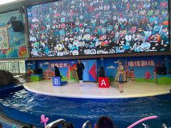 -成都浩海立方海洋公园