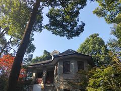 -南山植物园