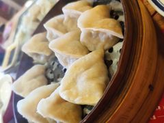 精肉酸菜蒸饺-新兴园饺子馆(北京百子湾店)