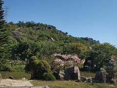 -丹樱生态园