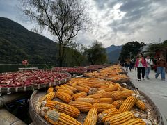 -新安江山水画廊风景区