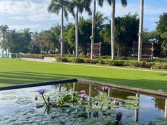 -三亚海棠湾万丽度假酒店