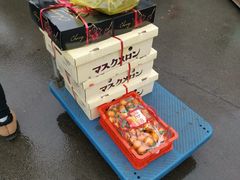 -上海龙吴水胜海发市场