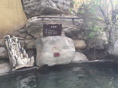 -仁爱团泊湖温泉中心