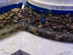 -澜悦港海鲜体验主题餐厅