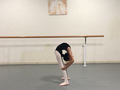 -西安小天鹅艺术团(金花路校区)