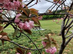 -上海市龙华烈士陵园