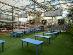 -阿菠萝小猪农场·萌宠乐园·亲子游·研学