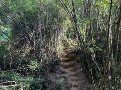 -广州市白云山风景名胜区