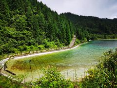 -武陵山森林公园