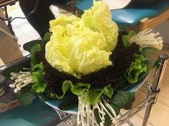 -青瓷火锅料理(西单大悦城店)