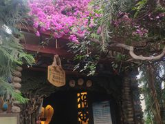 -呀路古热带植物园