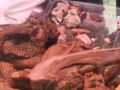 -洪记白水羊头(天坛店)