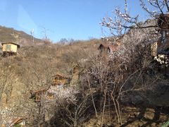 iphone_upload_pic-北京水岸山吧度假村(雁栖镇店)