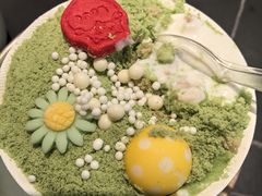 -季季山·云南野生菌火锅(上海首店)