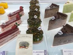 -TD66高山铁皮石斛养生茶饮