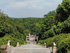 -宜兴龙背山森林公园
