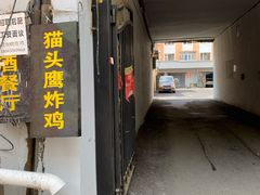 -猫头鹰炸鸡