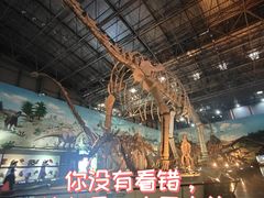 -中国西峡恐龙遗迹园