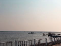 -贡湖湾湿地公园