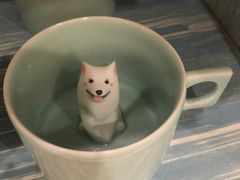 -猫的天空之城概念书店(印象城购物中心店)