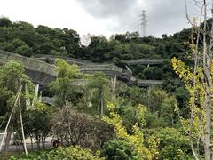 -梅峰山地公园