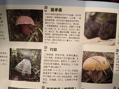 -太婆天府山珍酒楼(亚运村店)