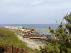 -养马岛旅游度假区