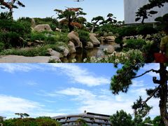 -罗红摄影艺术馆