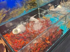 -苏格里岛自助烤肉海鲜火锅(成都金牛万达店)