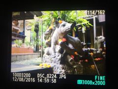 -Warung Babi Guling Ibu Oka 3