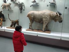 -国家自然博物馆