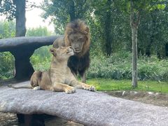 -北京野生动物园