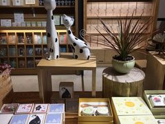 -猫的天空之城概念书店(苏州诚品店)