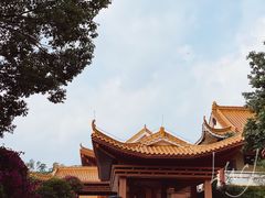 -深圳仙湖植物园