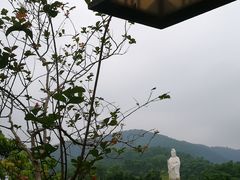 -大屏嶂森林公园