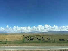 -青海湖国家重点风景名胜区