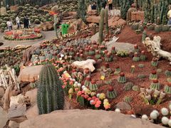 -南通洲际绿博园