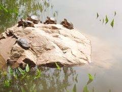 -大连植物园